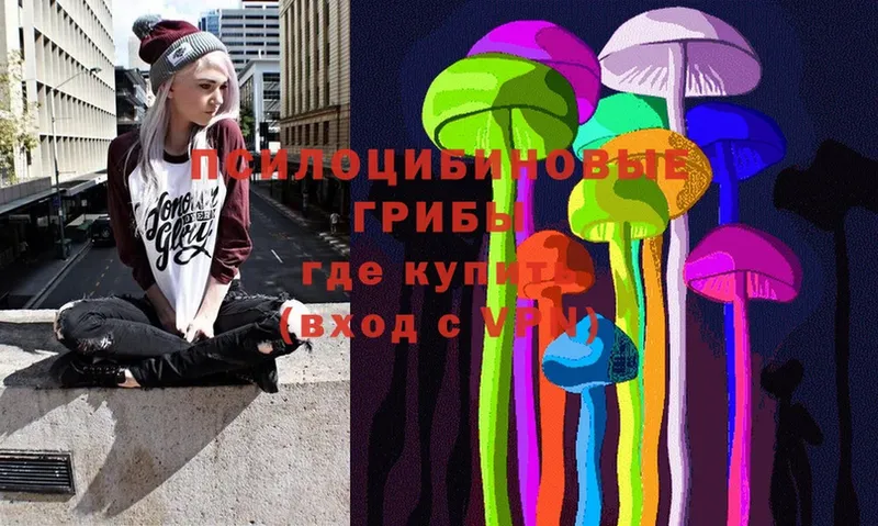 где продают   Бобров  Галлюциногенные грибы Psilocybe 